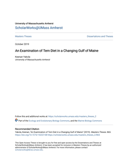 An Examination of Tern Diet in a Changing Gulf of Maine