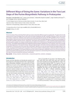 Variations in the Two Last Steps of the Purine Biosynthetic Pathway in Prokaryotes