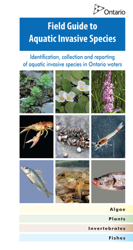 Field Guide to Aquatic Invasive Species