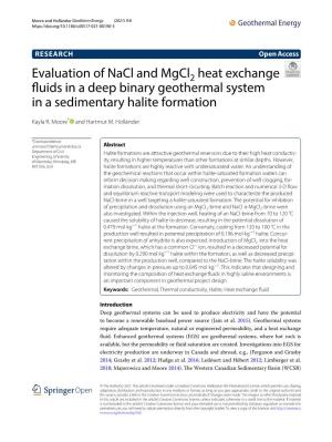 Evaluation of Nacl and Mgcl2 Heat Exchange Fluids in a Deep Binary