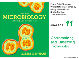 Characterizing and Classifying Prokaryotes