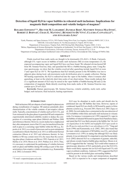 Detection of Liquid H2O in Vapor Bubbles in Reheated Melt Inclusions: Implications for Magmatic Fluid Composition and Volatile Budgets of Magmas?