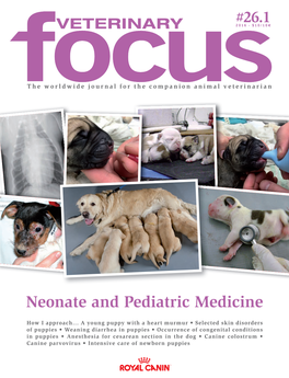 Neonate and Pediatric Medicine