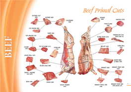 Beef Primal Cuts OUTSIDE FLAT 2050 OUTSIDE 2030 TOPSIDE 2000 KNUCKLE 2070 SILVERSIDE 2020 THICK FLANK 2060