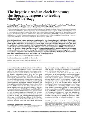The Hepatic Circadian Clock Fine-Tunes the Lipogenic Response to Feeding Through Rorα/Γ
