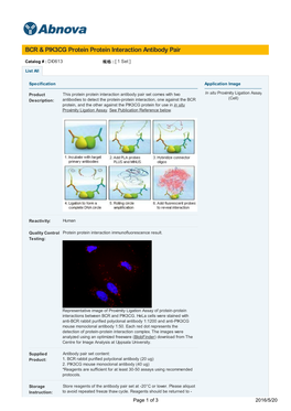 BCR & PIK3CG Protein Protein Interaction Antibody Pair