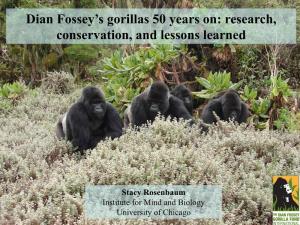 Dian Fossey's Gorillas 50 Years On
