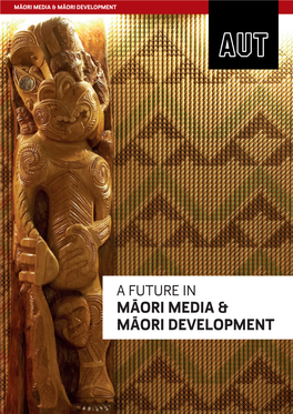 Māori Development & Māori Media Careers