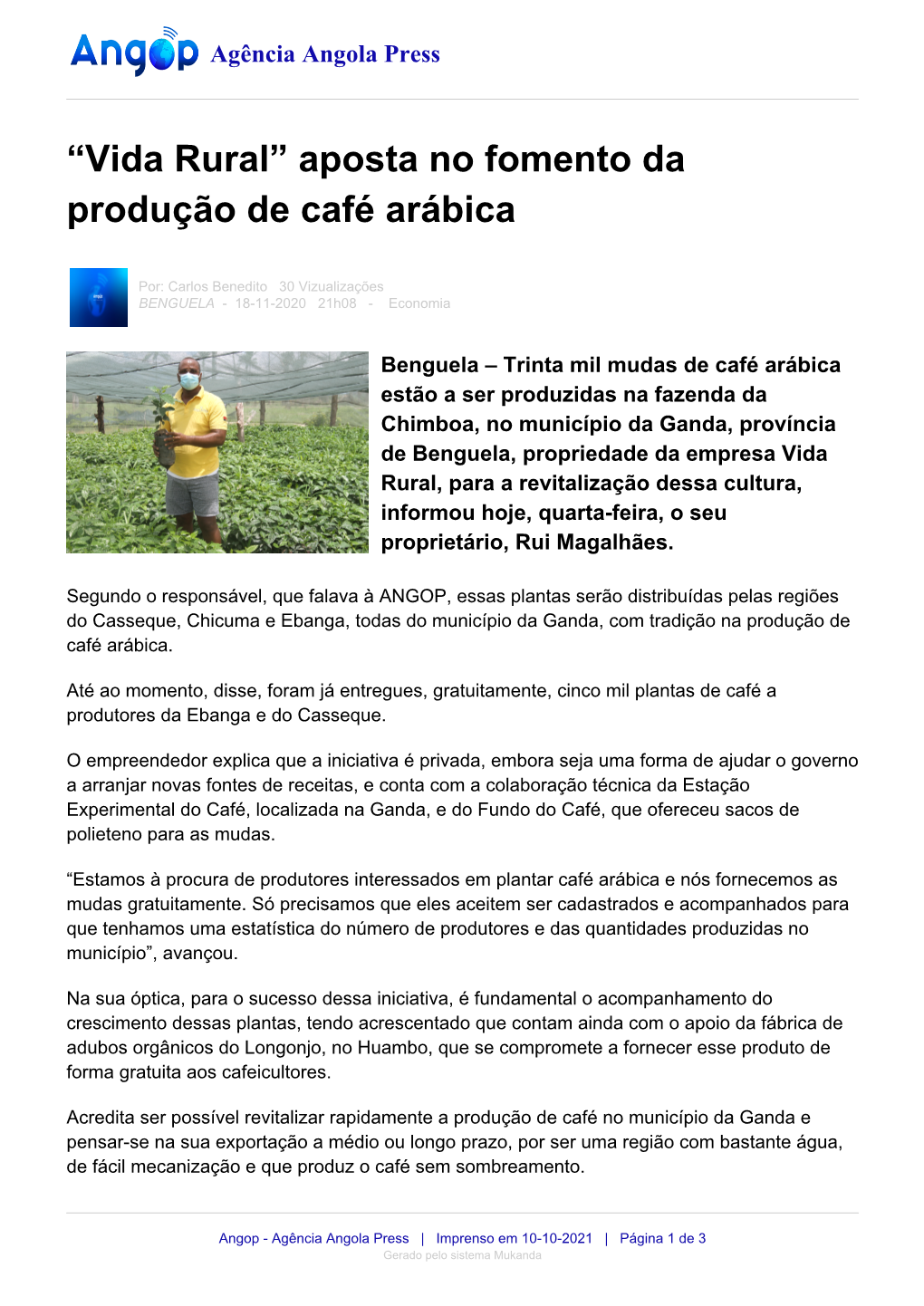 Aposta No Fomento Da Produção De Café Arábica