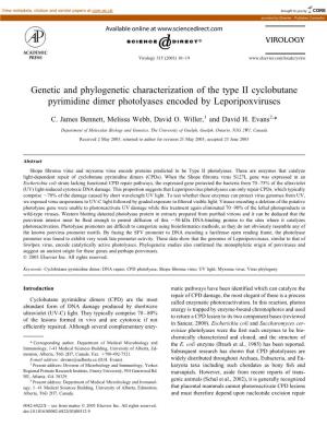 Genetic and Phylogenetic Characterization of the Type II Cyclobutane Pyrimidine Dimer Photolyases Encoded by Leporipoxviruses