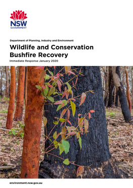 Wildlife and Conservation Bushfire Recovery Immediate Response January 2020