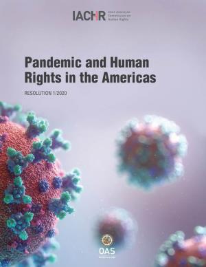 Resolution 1/2020, Pandemic and Human Rights in the Americas