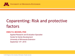 Coparenting: Risk and Protective Factors