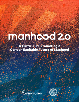 Manhood 2.0: a Curriculum Promoting a Gender-Equitable Future of Manhood