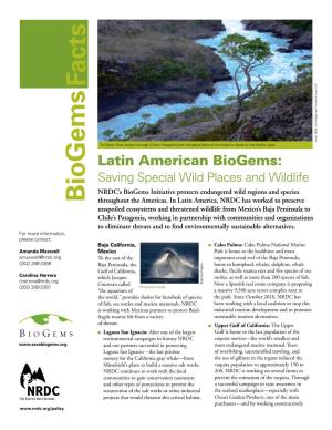 Latin American Biogems: the Baker River Snakes Through Chilean Patagonia from the Glacial Lakes of the Andes to Fjords on the Pacific Coast
