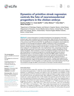Dynamics of Primitive Streak Regression Controls the Fate Of