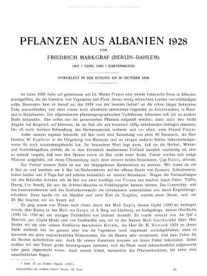 Pflanzen Aus Albanien 1928 Von Friedrich Markgraf (Berlin-Dahlem)