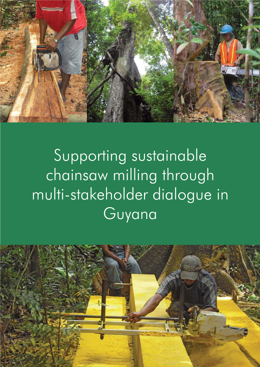 Supporting Sustainable Chainsaw Milling Through Multi-Stakeholder