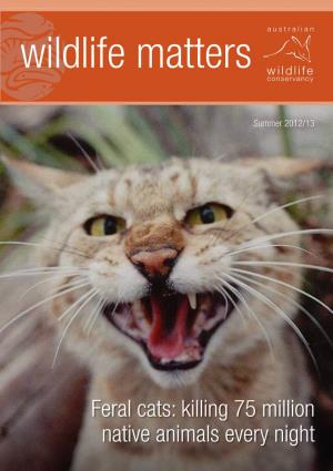 Feral Cats: Killing 75 Million Native Animals Every Night Saving Australia’S Threatened Wildlife