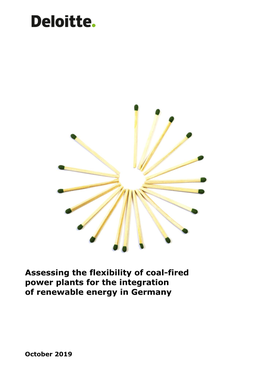 Assessing the Flexibility of Coal-Fired Power Plants for the Integration of Renewable Energy in Germany