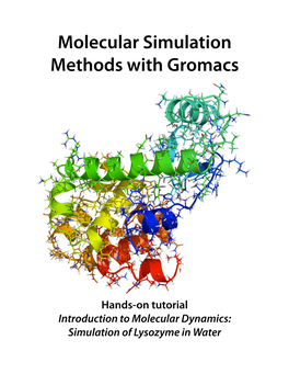 Molecular Simulation Methods with Gromacs