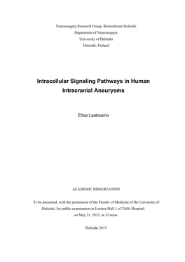 Intracellular Signaling Pathways in Human Intracranial Aneurysms