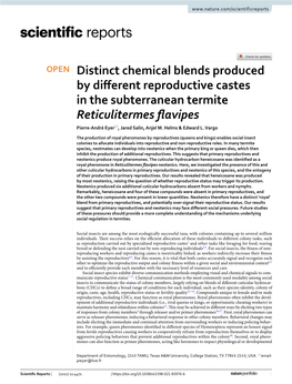 Distinct Chemical Blends Produced by Different Reproductive Castes in the Subterranean Termite Reticulitermes Flavipes