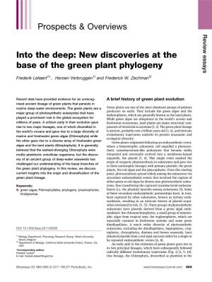 Into the Deep: New Discoveries at the Base of the Green Plant Phylogeny