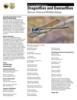 Dragonflies and Damselflies Havasu National Wildlife Refuge