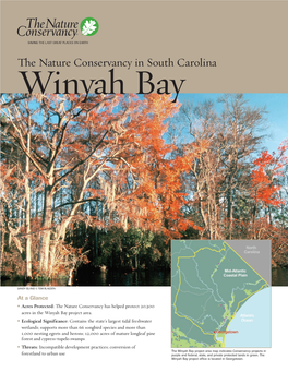 Winyah Bay Fact Sheet