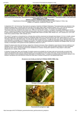 First Record of the Bronze Bug, Thaumastocoris Peregrinus