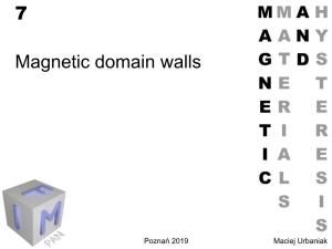 7 Magnetic Domain Walls