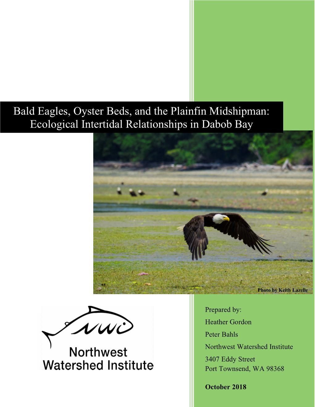 Bald Eagles, Oyster Beds, and the Plainfin Midshipman: Ecological Intertidal Relationships in Dabob Bay