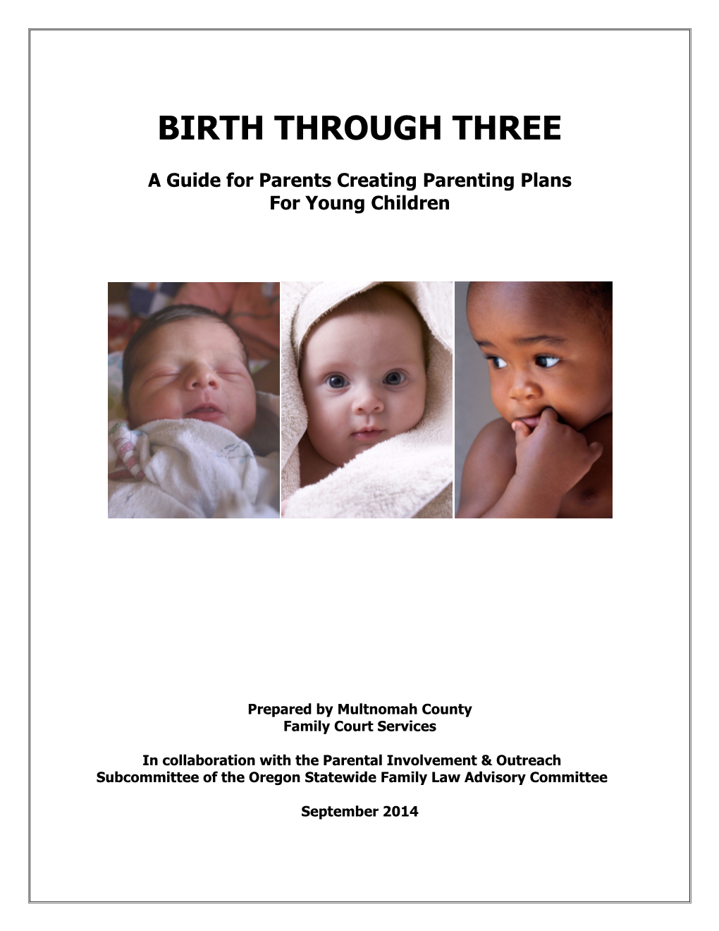 2014 Zero to Three Parenting Plan Guide (PDF)