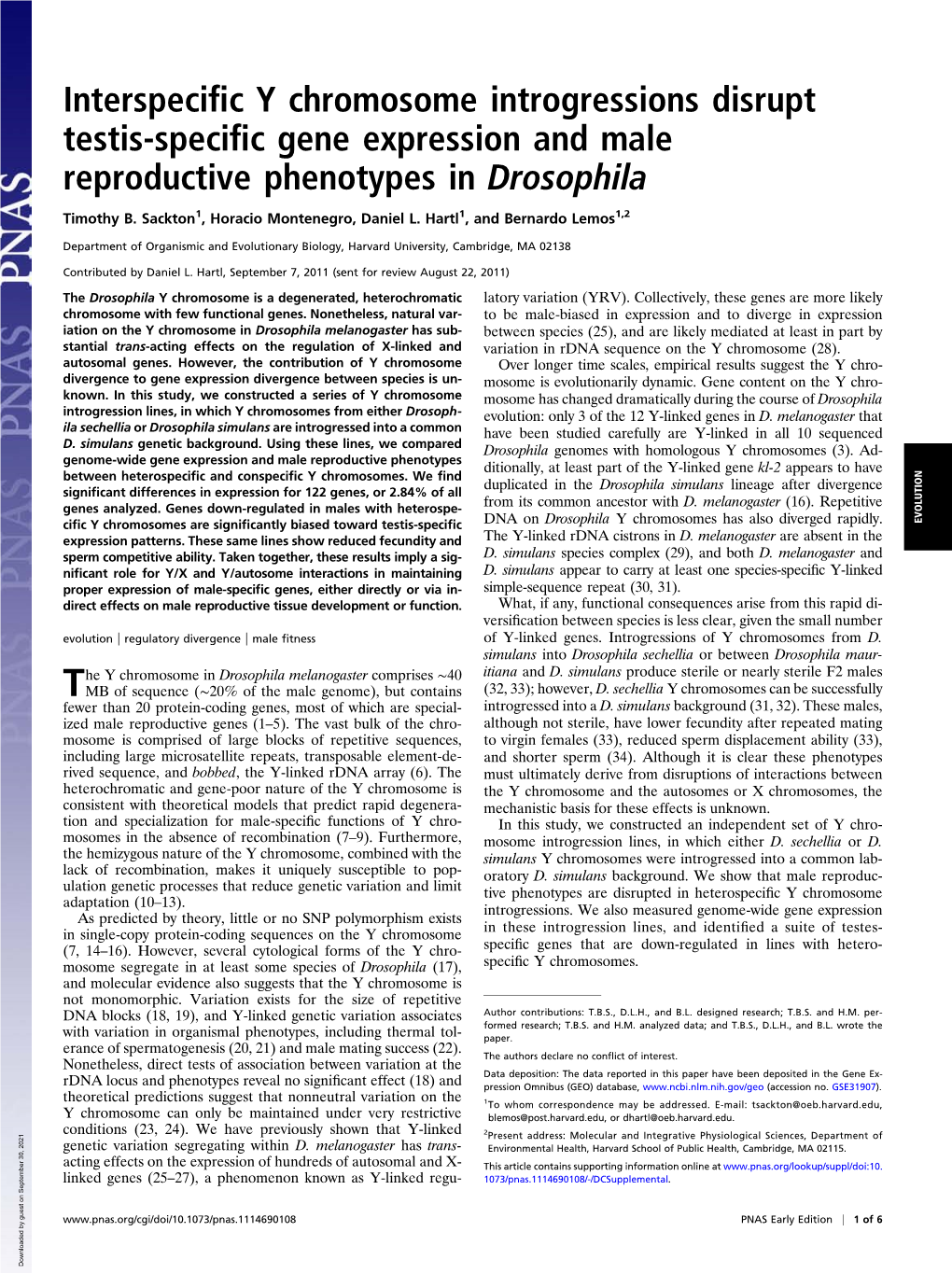 Interspecific Y Chromosome Introgressions Disrupt Testis-Specific Gene Expression and Male Reproductive Phenotypes in Drosophila