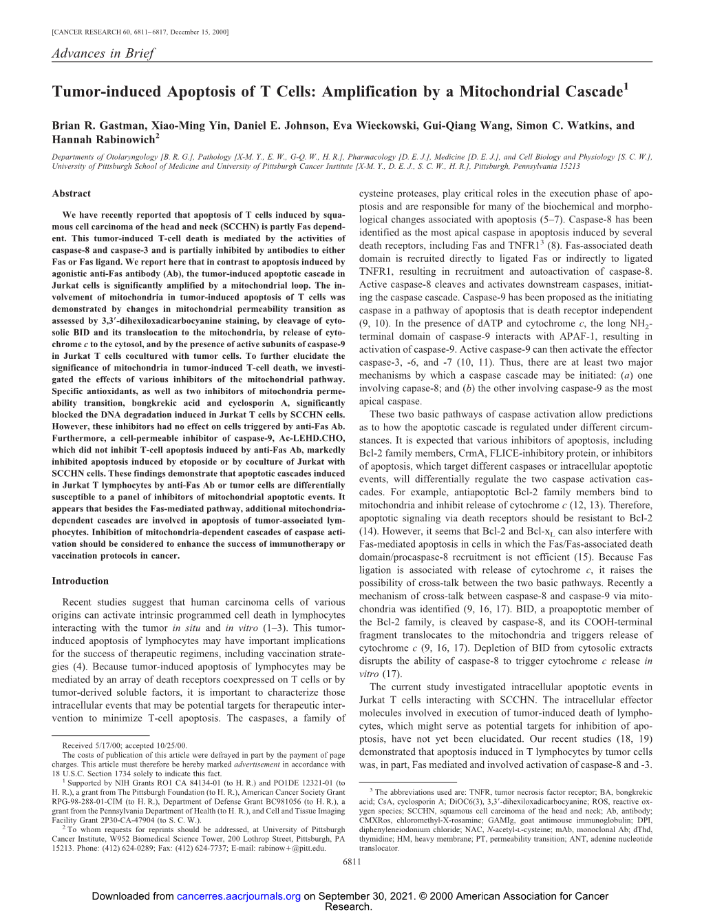 Tumor-Induced Apoptosis of T Cells: Amplification by a Mitochondrial Cascade1