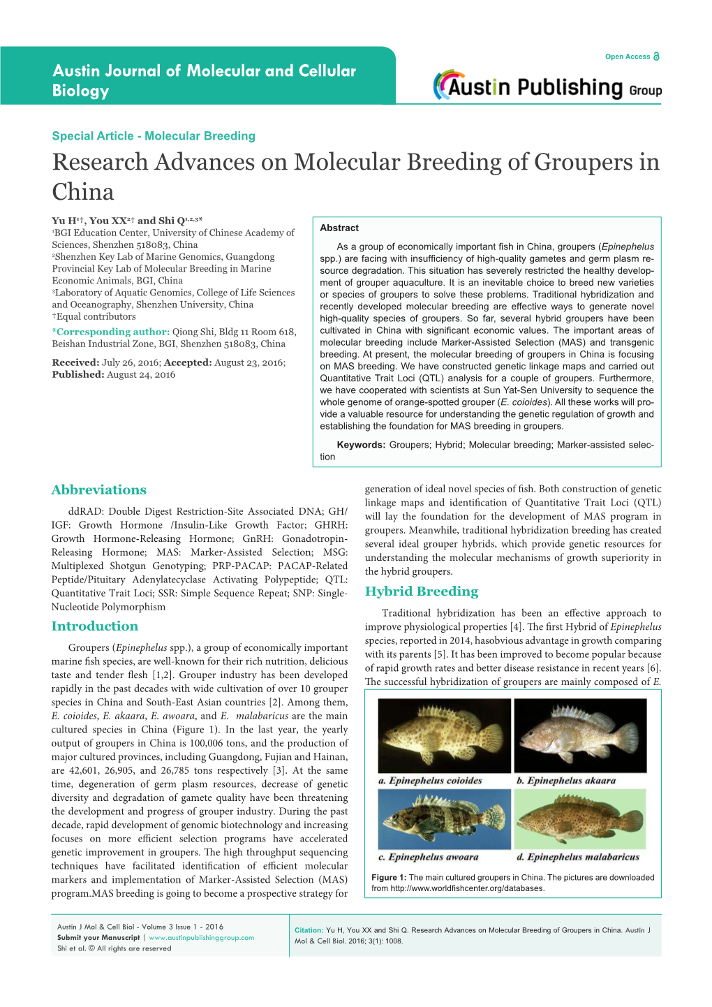 Research Advances on Molecular Breeding of Groupers in China