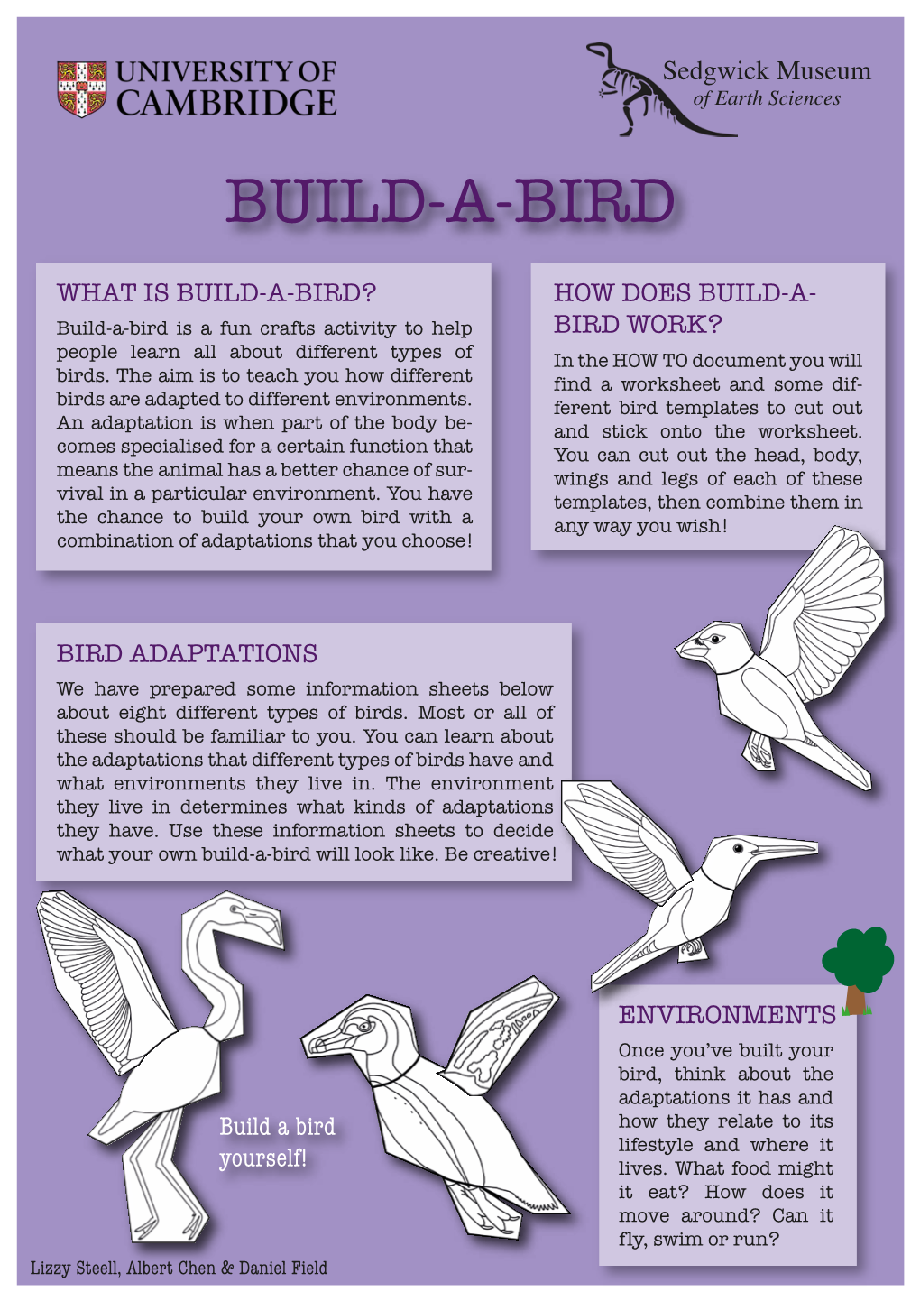 Build-A-Bird