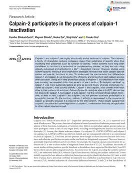 Calpain-2 Participates in the Process of Calpain-1 Inactivation