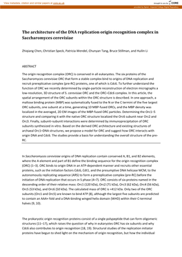 The Architecture of the DNA Replication Origin Recognition Complex in Saccharomyces Cerevisiae