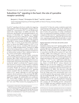 Subcellular Ca2+ Signaling in the Heart: the Role of Ryanodine Receptor Sensitivity