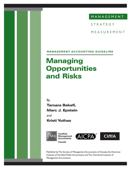Managing Opportunities and Risks