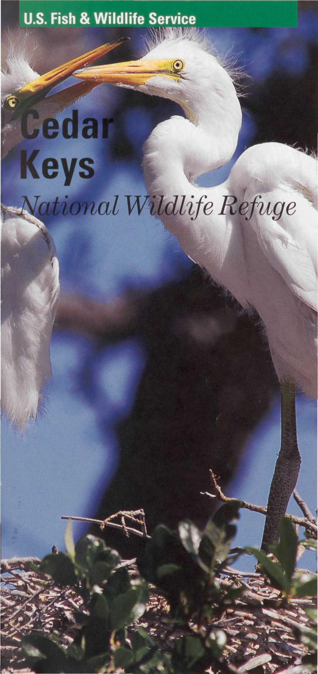 Jshtional Wildlife Refuge