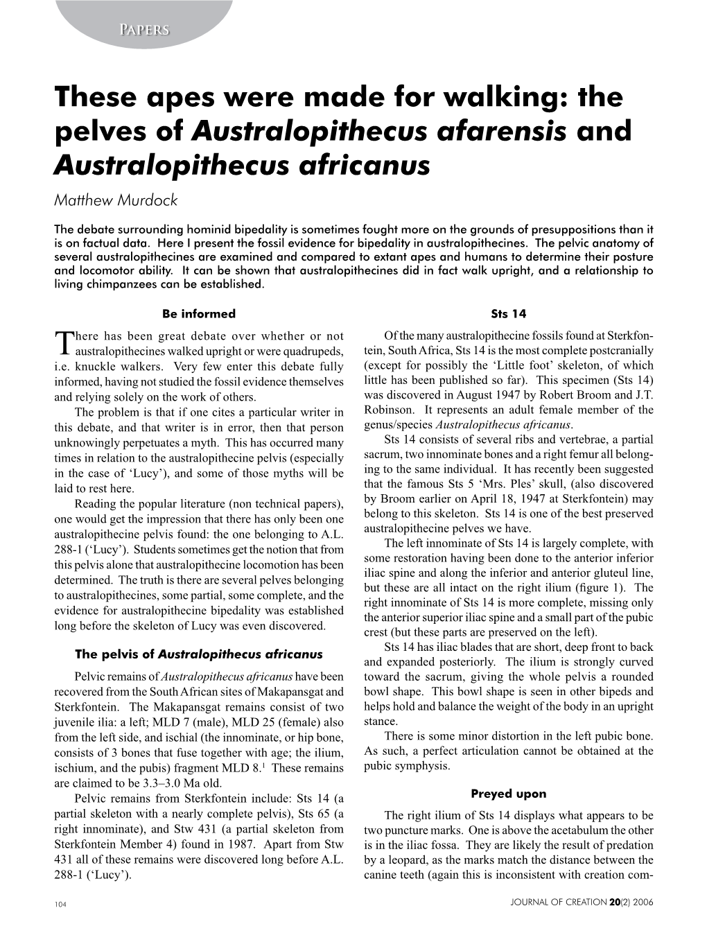 These Apes Were Made for Walking: the Pelves of Australopithecus Afarensis and Australopithecus Africanus Matthew Murdock