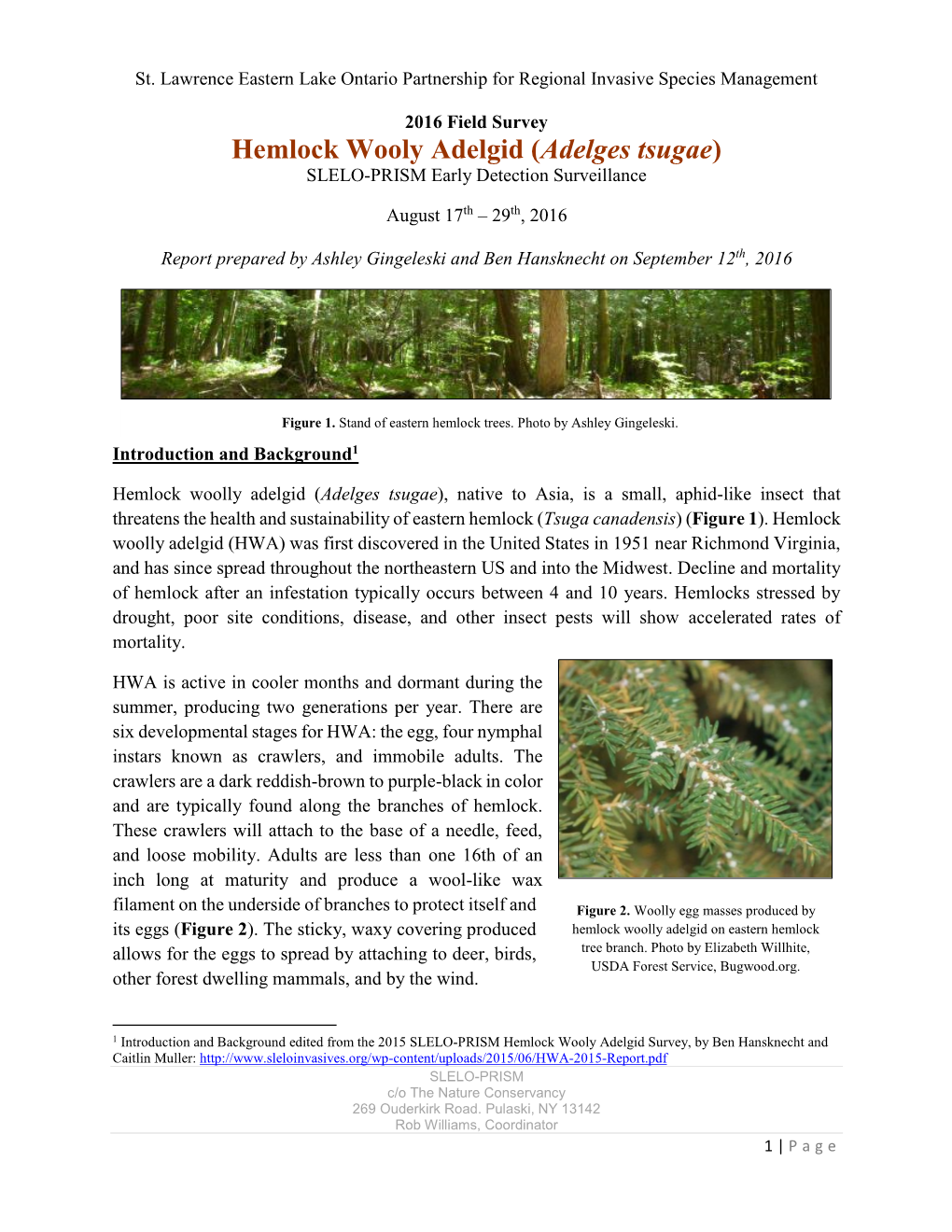 Hemlock Woolly Adelgid Survey-Pdf