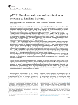 P27kip1 Knockout Enhances Collateralization in Response to Hindlimb Ischemia