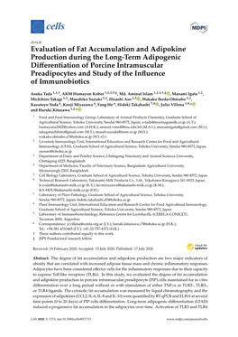 Evaluation of Fat Accumulation and Adipokine Production During The