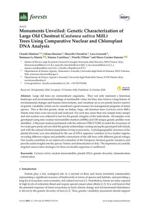 Genetic Characterization of Large Old Chestnut (Castanea Sativa Mill.) Trees Using Comparative Nuclear and Chloroplast DNA Analysis