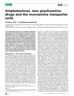 Amphetamines, New Psychoactive Drugs and the Monoamine
