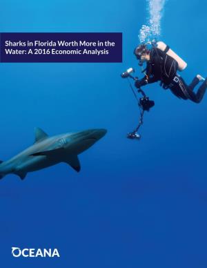 Sharks in Florida Worth More in the Water: a 2016 Economic Analysis